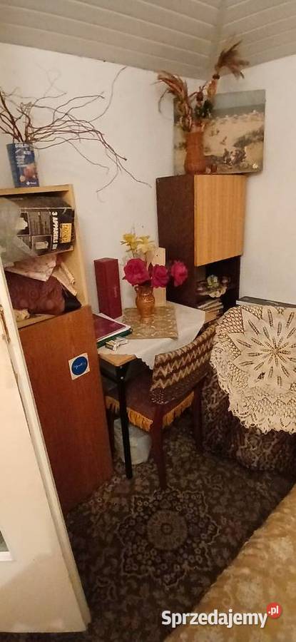 Działka ROD Gaj Janowiecka 77 Warszawa sprzedam