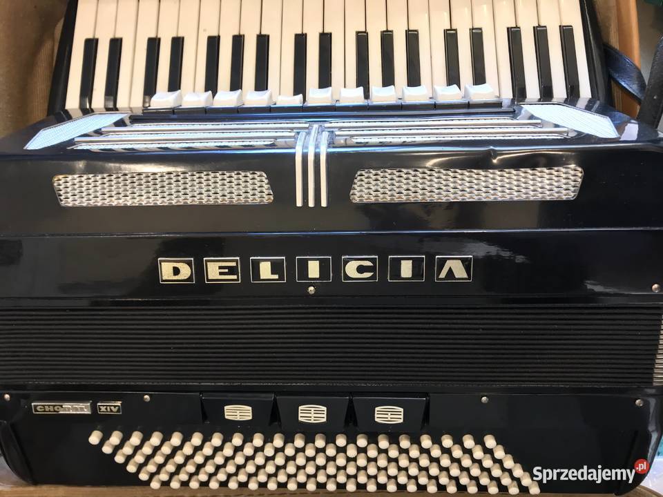 DELICIA Choral XIV AKORDEON 120 basów WALIZKA