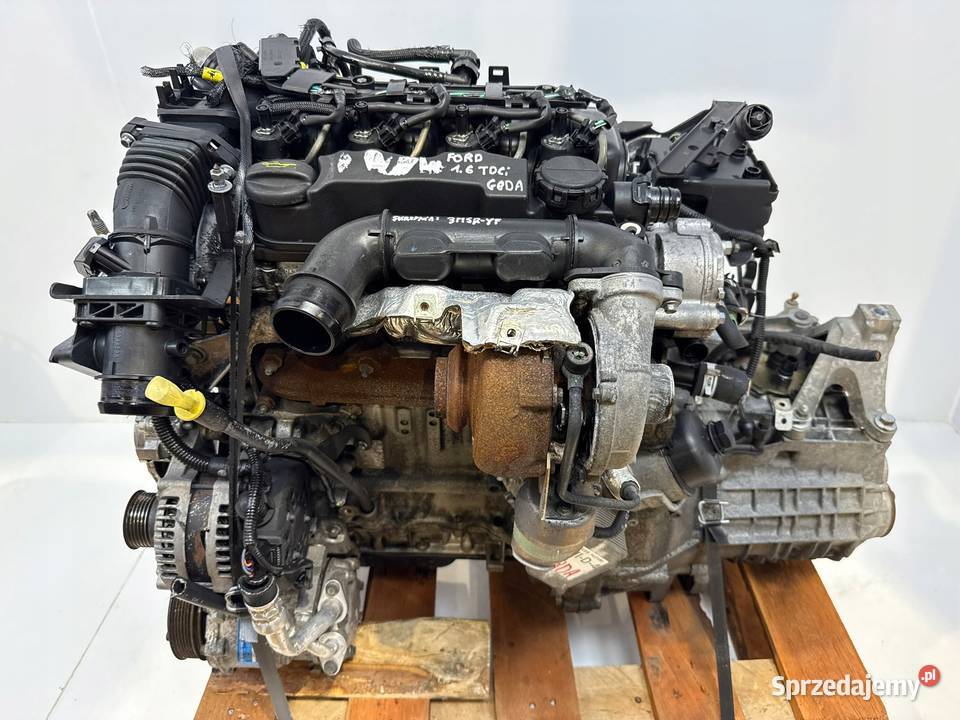 SILNIK G8DA Ford Focus II MK2 C C 16 TDCI 109