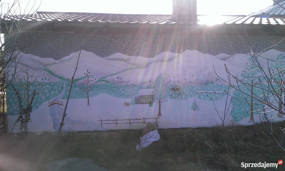 Dom plus Dzialka Poł HEKTARA Kocina