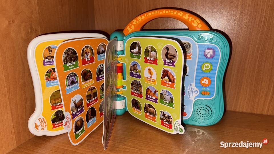 Zabawki dolnośląskie Wrocław