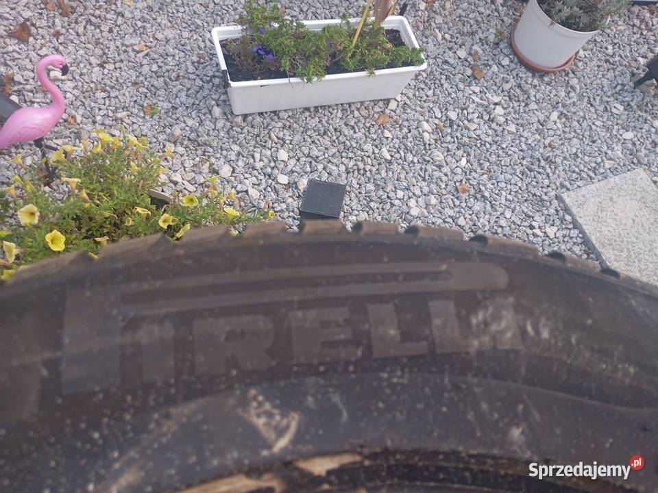 Komplet Opon Zimowych Pirelli Winter Sottozero 3 60 śląskie Gliwice