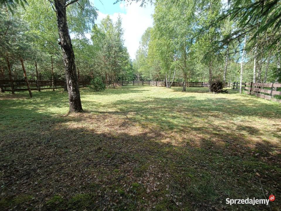Piękna działka w spokojnej okolicy otoczona rolna warmińsko-mazurskie Rekownica