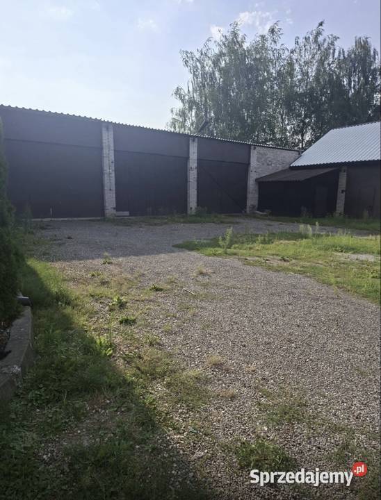 Dom z zabudowaniami i ogrodem parterowy Gierczyce sprzedam
