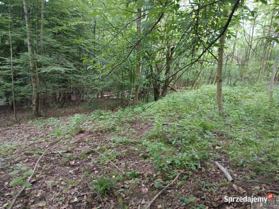 Działka Budzów 4545m2 małopolskie