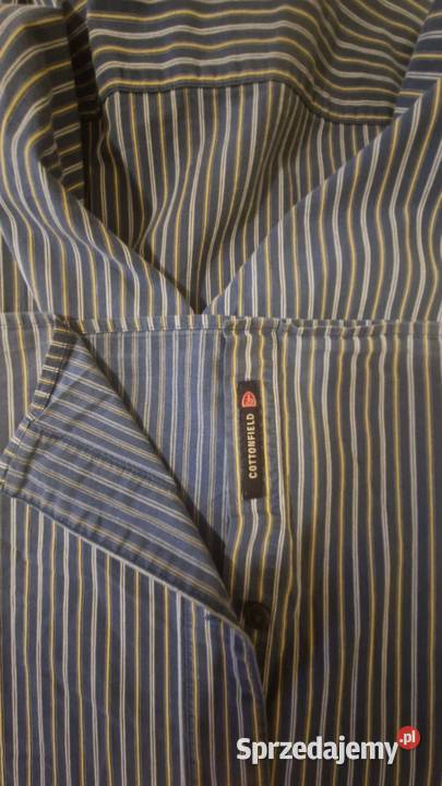 KOSZULA męska marki Cottonfield L bawełna ciemno Odzież sportowa Lublin