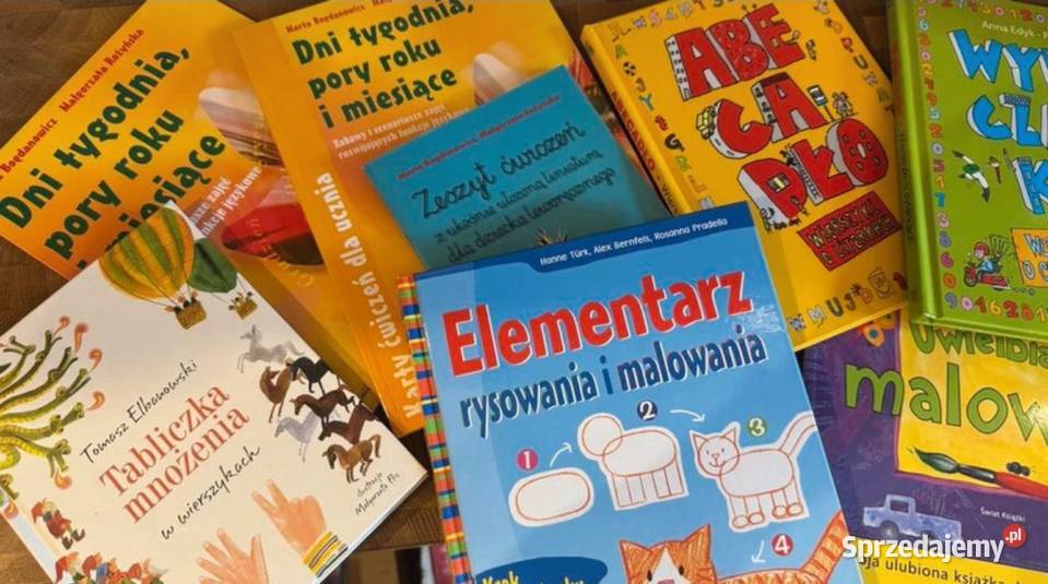 Zestaw książek edukacyjnych dzieci Katowice