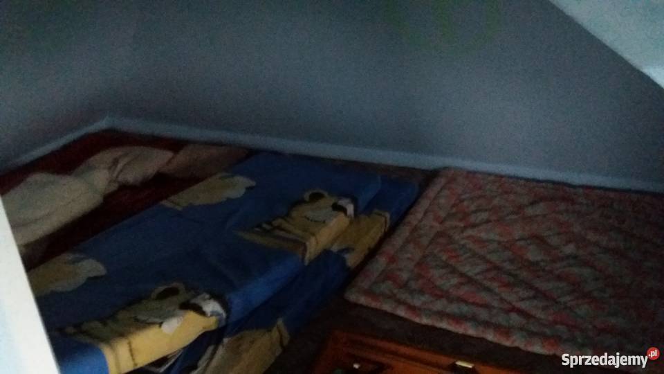 Działka rekreacyjna Gniezno prąd sprzedam