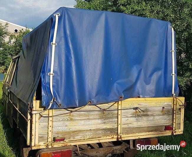 Sprzedam Tarpana Bronina