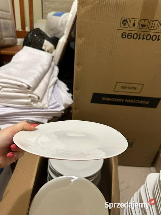 Talerze assiette affame 52 sztuki wszystkie Salaterki i półmiski