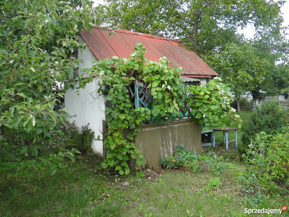 Ogródek działkowy 600m2 Kasprzaka OKAZJA rekreacyjna Gorzów Wielkopolski