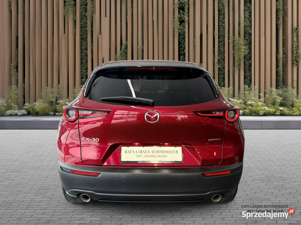 Mazda CX30 bordowy Sadlno