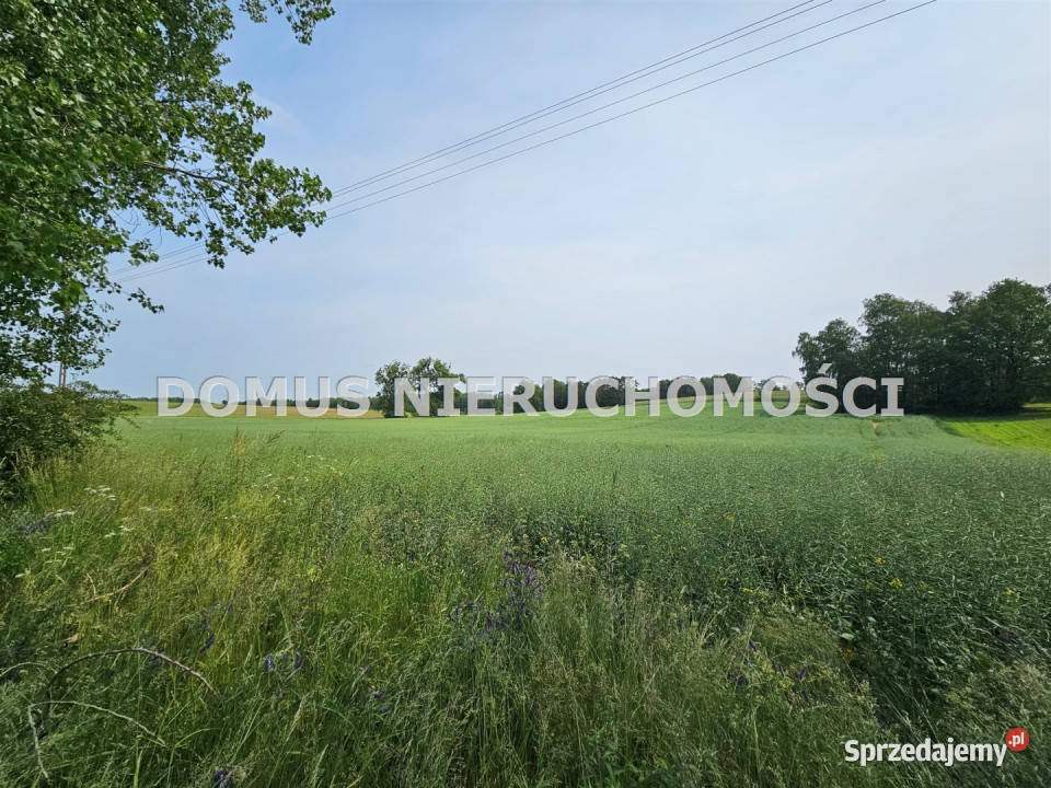 sprzedaży gruntu 3220m2 GałkówekParcela
