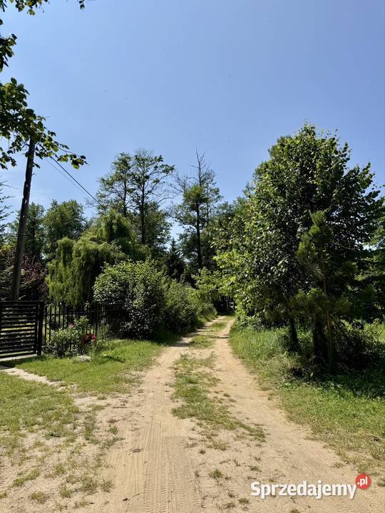 Działka 1500m2 z domkiem letniskowym w Krajęczyn