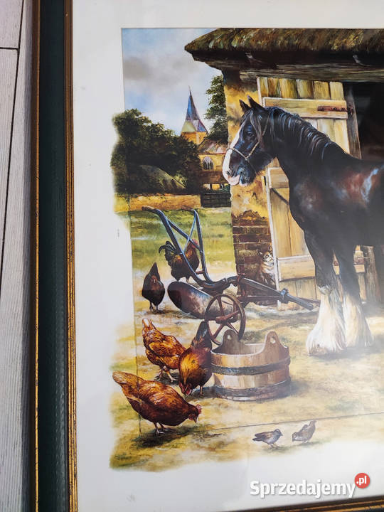 obraz reprodukcja Peter Goodhal