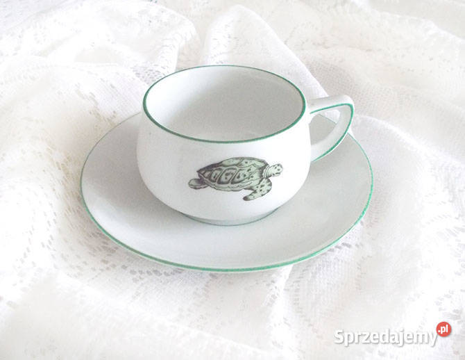 filiżanka z żółwiem żółw filiżanka zwierzęta zachodniopomorskie Szczecin