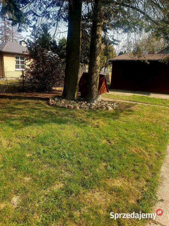 Działka ROD Paluch Miejski Warszawa sprzedam