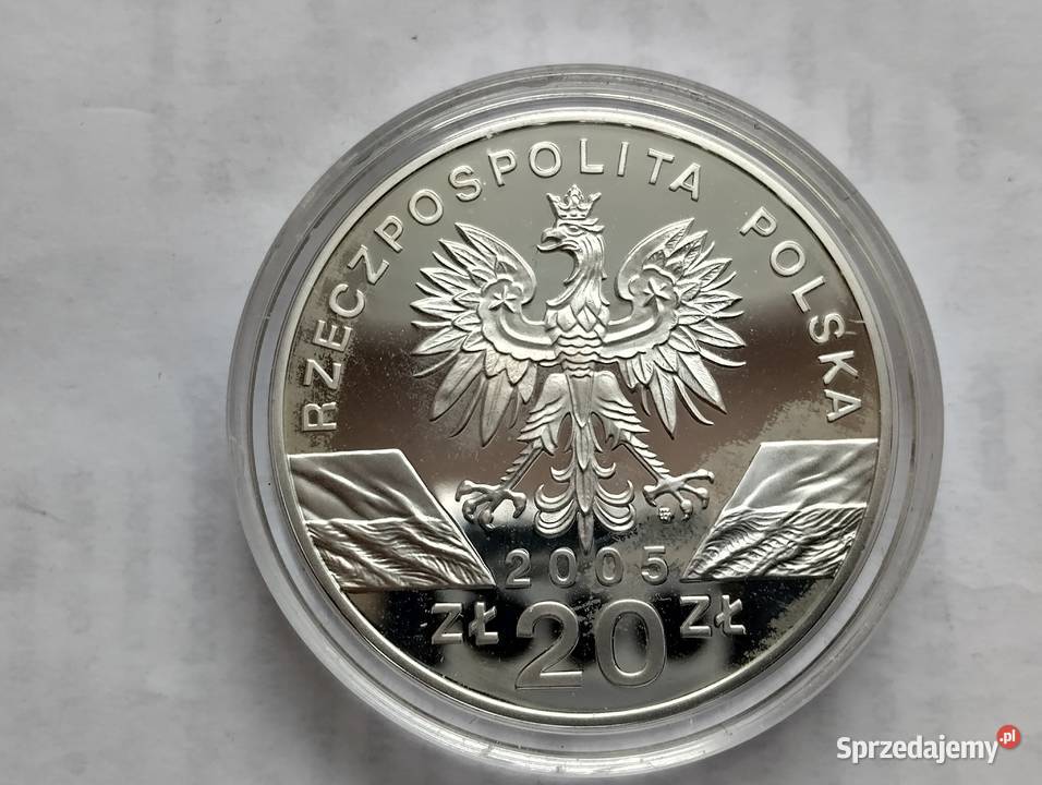 20 2005r Puchacz Bubo Bubo Warszawa