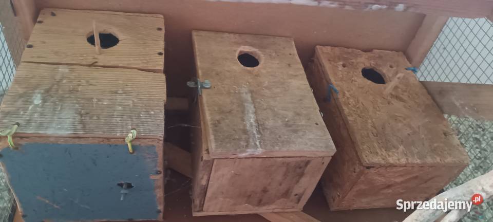 Klatka 3budki papug i innych ptaków Zakliczyn