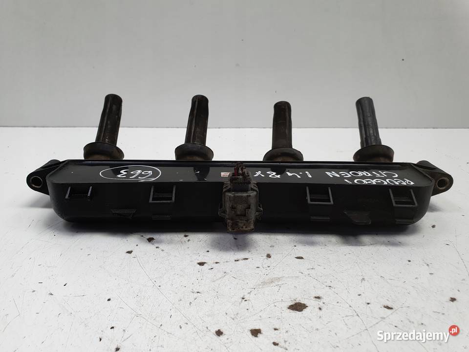 CEWKA ZAPŁONOWA Citroen Peugeot 206 14 8V lubelskie Rudka