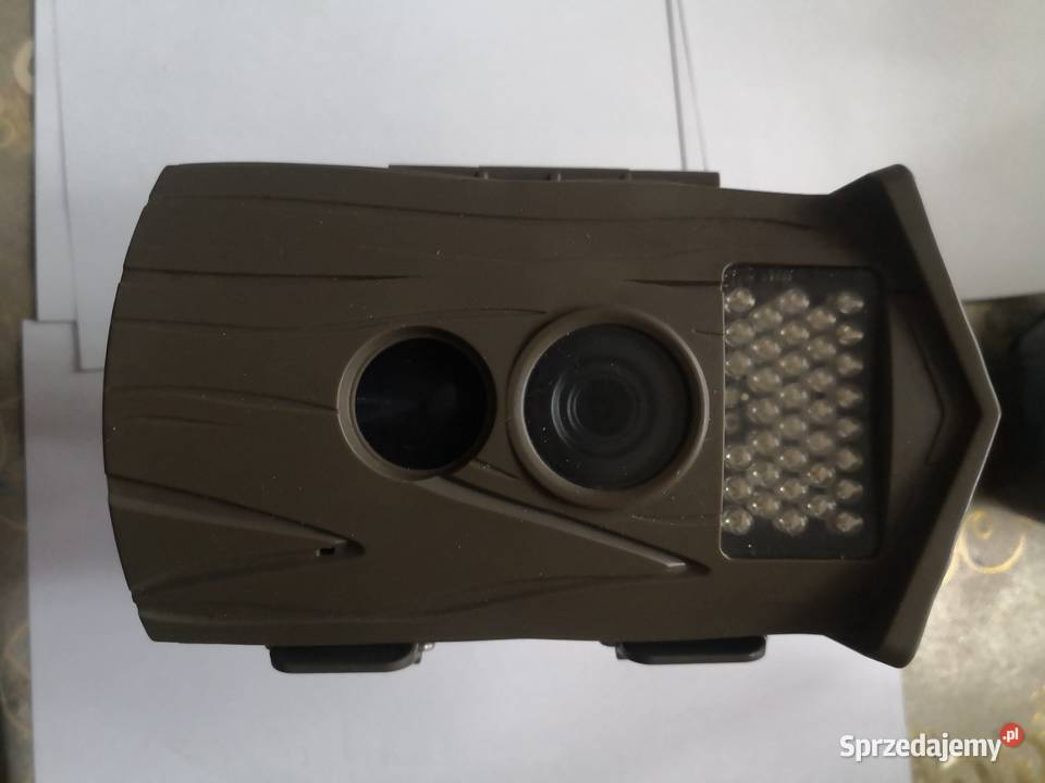 Kamera leśna Rohs mazowieckie Radom