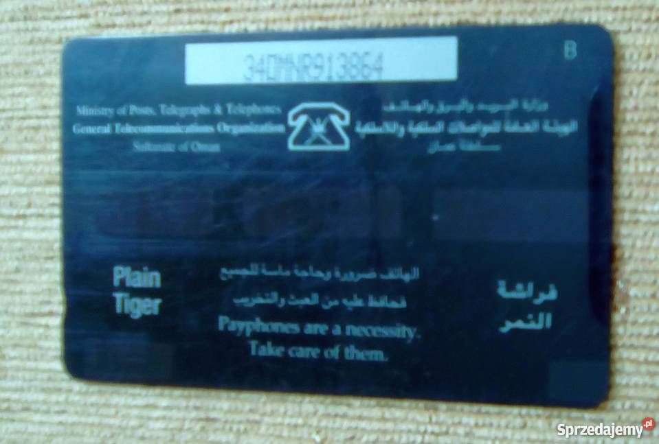 MOTYL AFRYKAŃSKI MONARCHA Piszczac