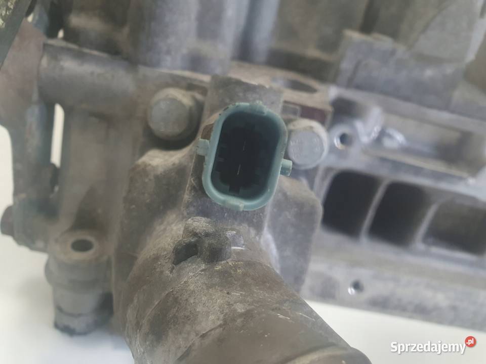 Iveco Daily III 30 CNG GŁOWICA CYLINDRÓW wałki Rudka sprzedam