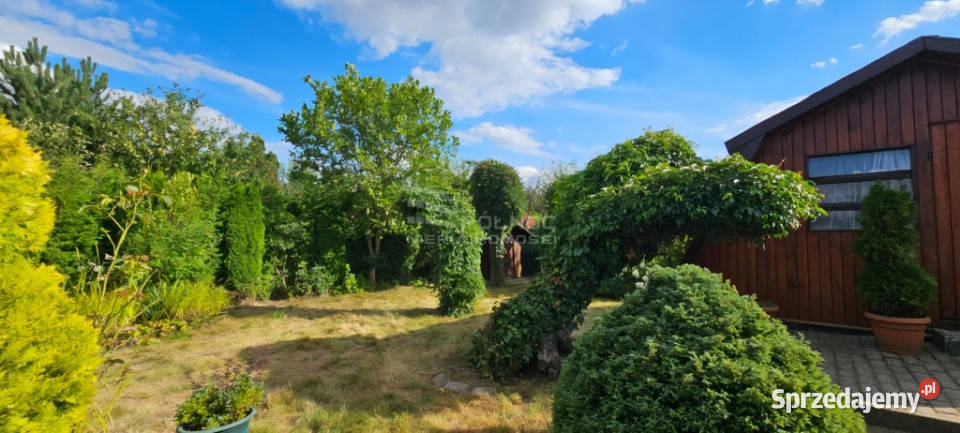 Działka ROD w Świdniku na sprzedaż sprzedam