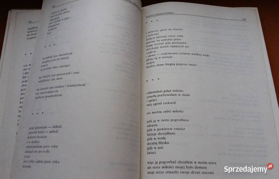 Kaskaderzy literaturyO twórczości i legendzie Łódź