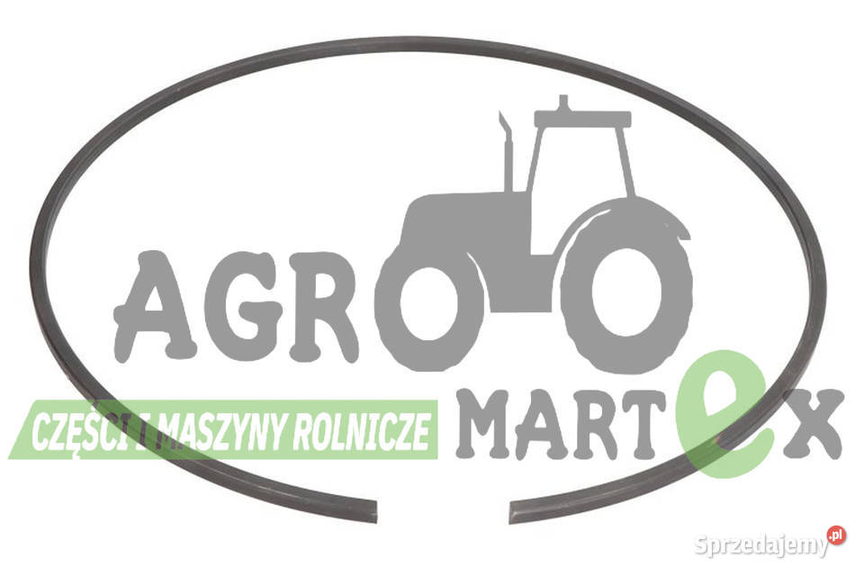 82100210 82100210 ZABEZPIECZENIE JCB dolnośląskie Wichrów