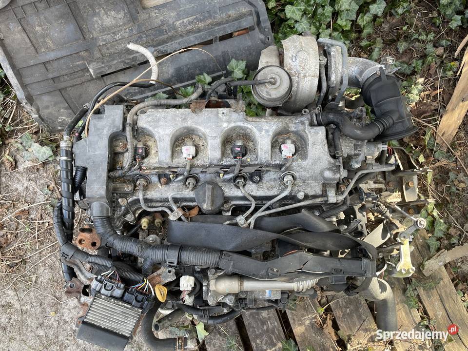 Silnik Toyota Avensis RAV4 D4D Łuszczacz