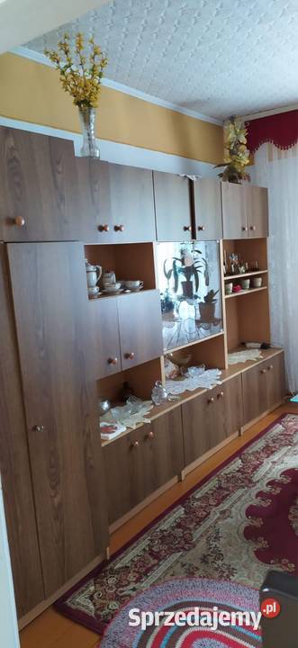 Urokliwy dom z ogromnym potencjałem w