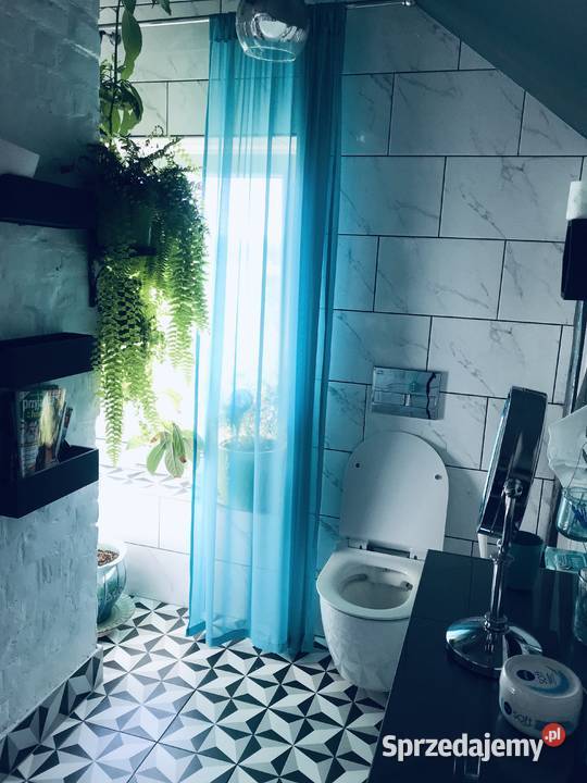 Dom na Kaszubach lesie sprzedam