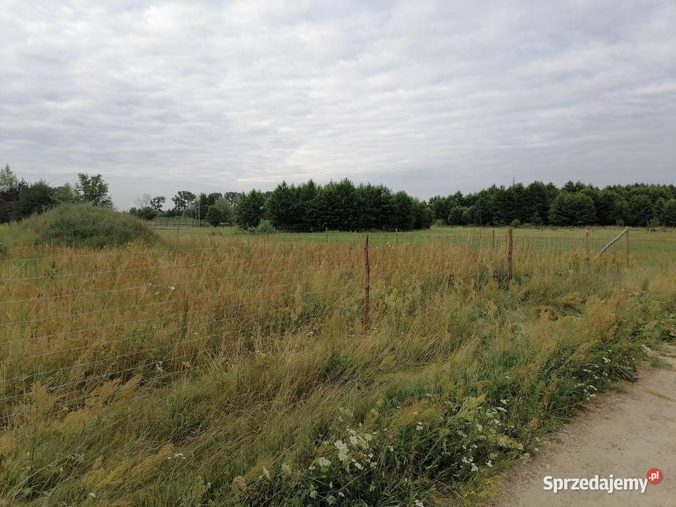 montaż siatki leśnej ocynk ogrodzenie tymczasowe Bełchatów
