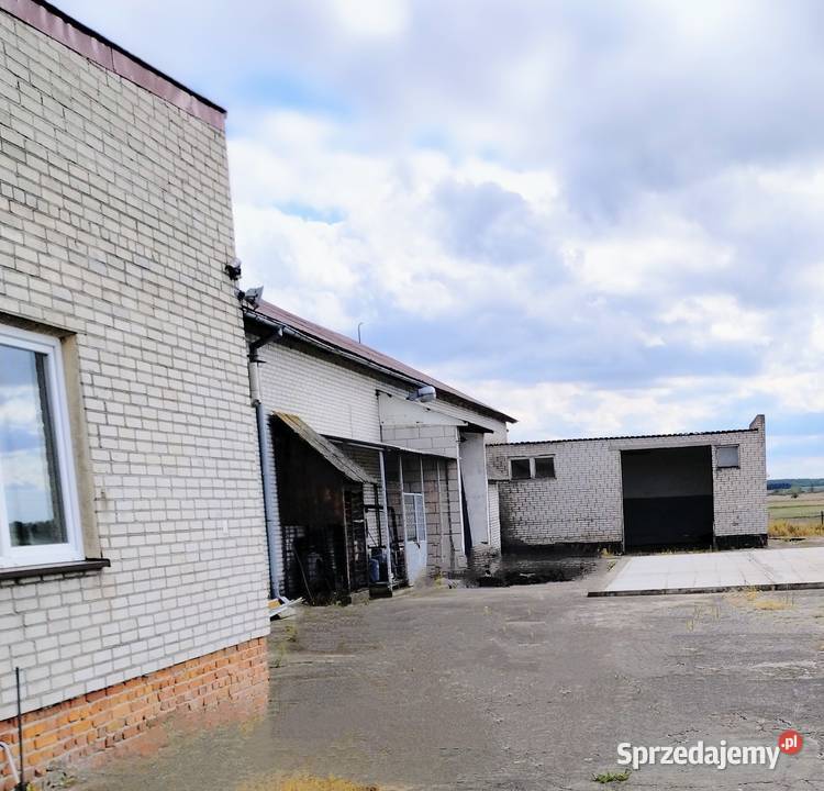 Sprzedam nieruchomość położoną na wsi okazja Kutno