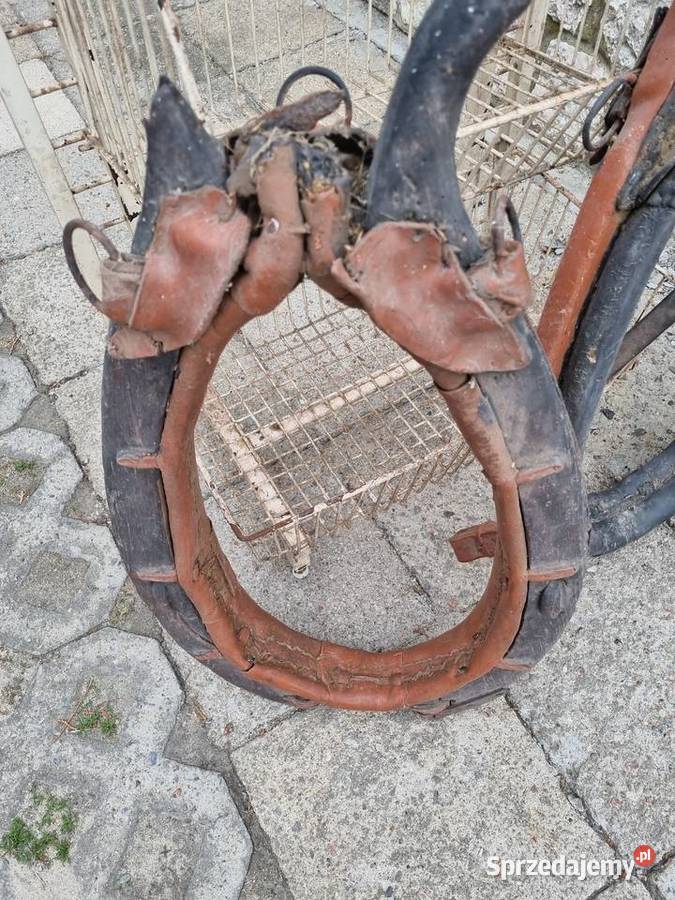 Homonto Pozostałe mazowieckie Mszczonów sprzedam