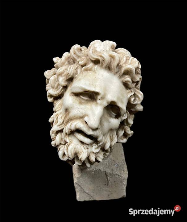 Testa Lao conte Pozostałe Warszawa