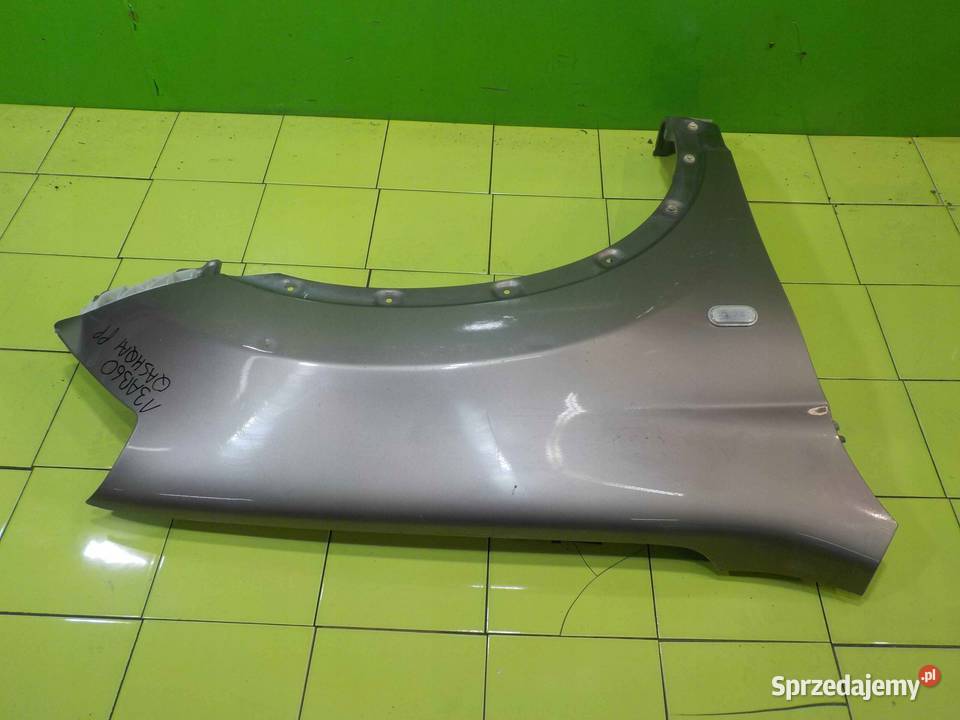 NISSAN QASHQAI J10 I 09r blotnik prawy przod Suków