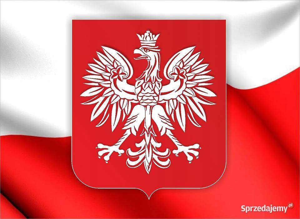 NAKLEJKA Grafika na samochód auto FLAGA POLSKI wielkopolskie Kobierno sprzedam