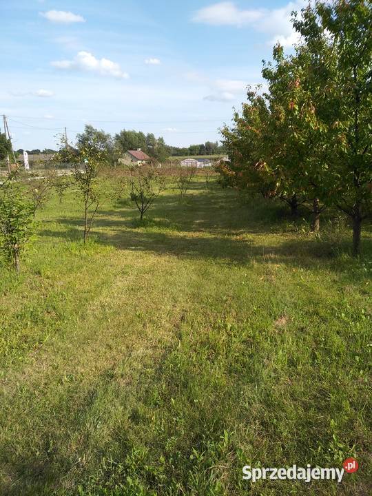 Działka budowlanorolna Zawichost