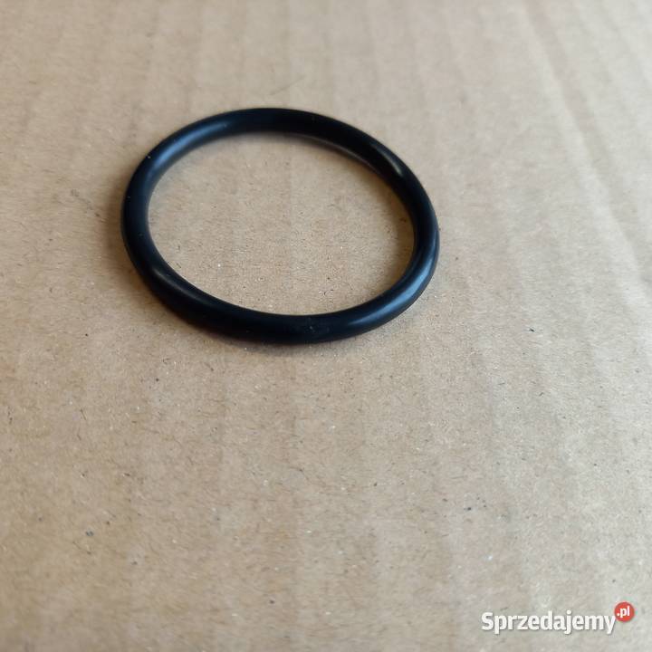 1098190W706722S300 Oring ukłchłPD20