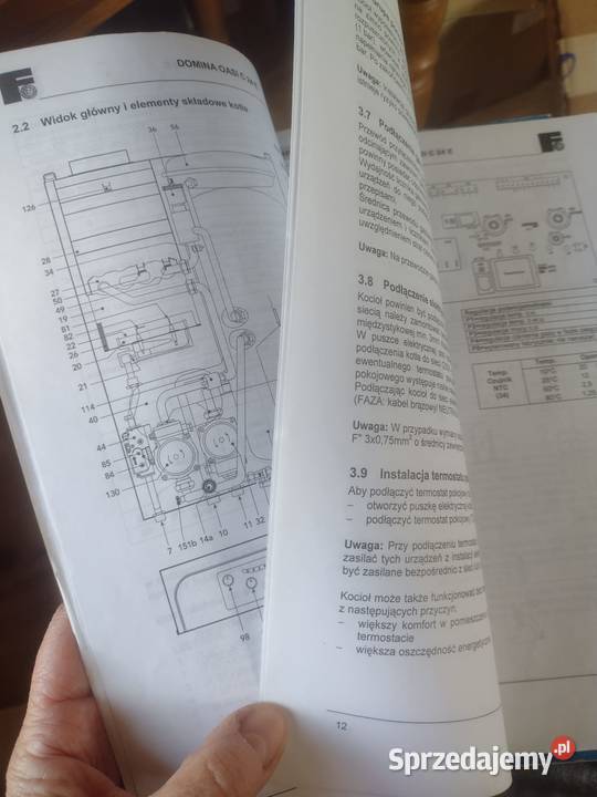Kocioł Ferroli Domina Oasi C 24 E wielkopolskie Borówiec