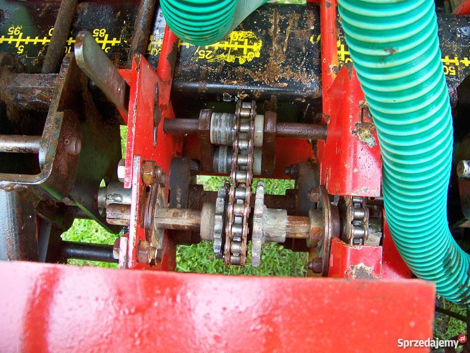 Siewnik do Fasoli Kukurydza Burak nieuszkodzony Dębina