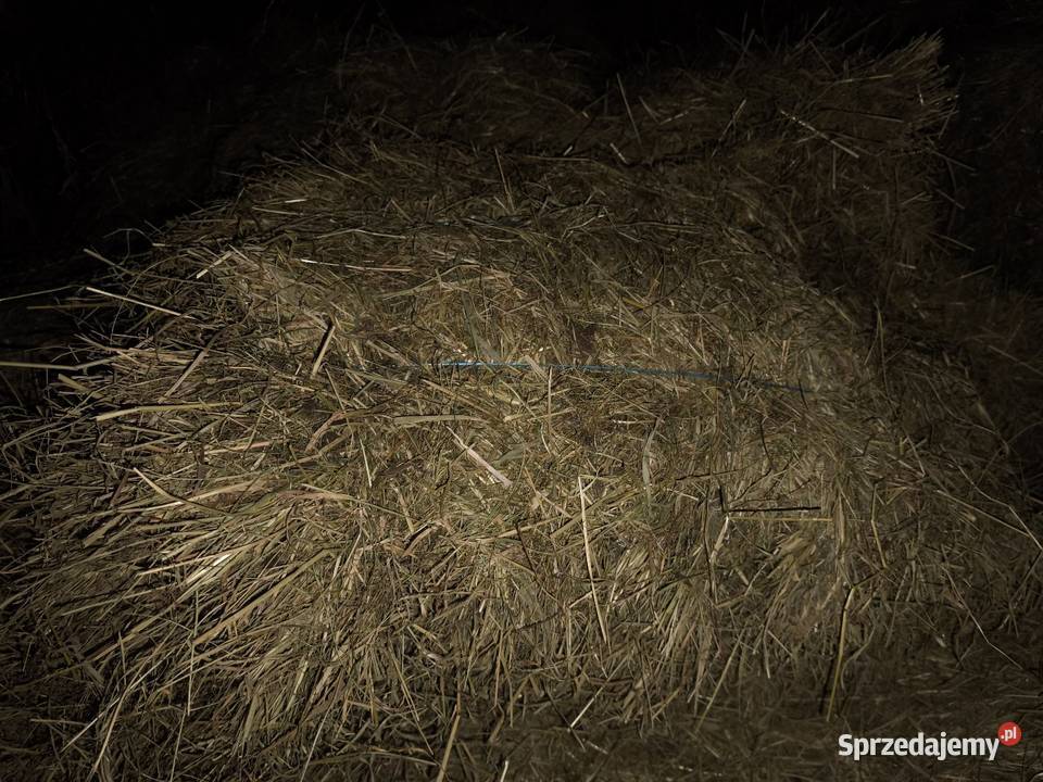 Sprzedam siano w kostce Strzałków