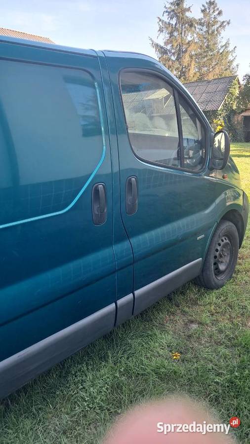 Opel Vivaro 19 2004r Wrzosów