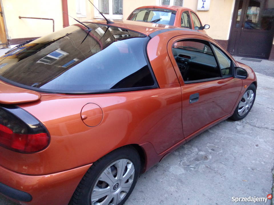 Sprawna 100 Tigra lubelskie