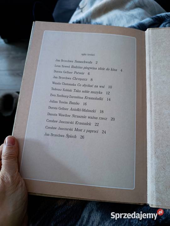 kolorowy świat wierszy wielkopolskie Poznań