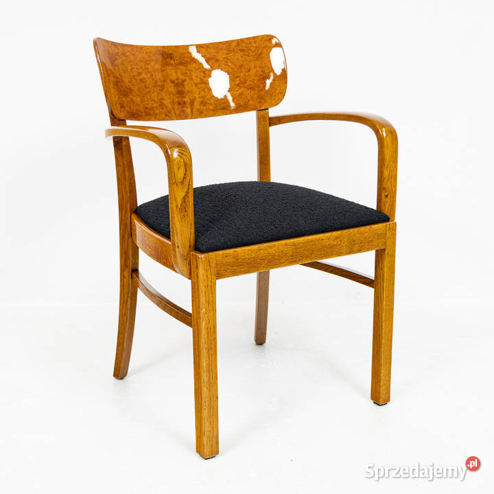 Para Foteli Krzeseł z Podłokietnikami Dwa Fotele