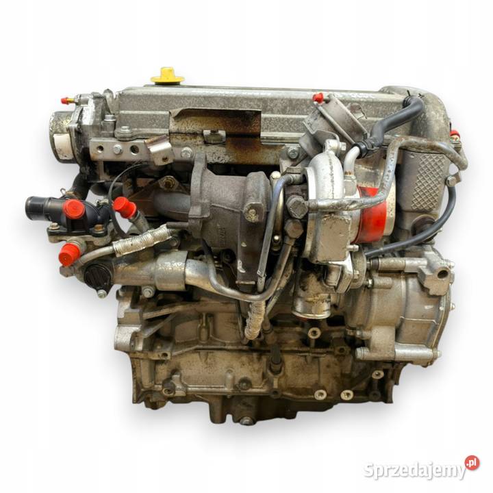 SILNIK Z20NEL Opel Signum Vectra C 20 T TURBO lubelskie
