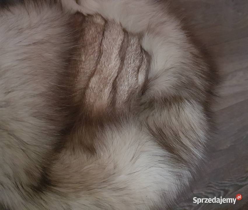 Ślubna biała suknia z kamyczkami Kraków